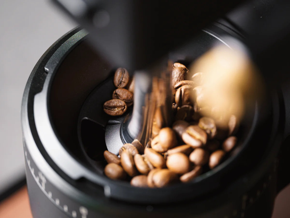 WEBER WORKSHOPS THE HG-2